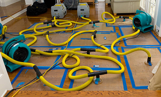 Professional Structural Drying And Dehumidification technician working in Albany, OR